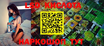 первитин Будённовск