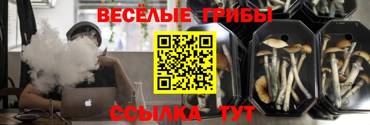 Псилоцибиновые грибы прущие грибы  Вход с VPN  Кинешма 